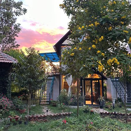 Chalets Resort Masinagudi Ooty Esterno foto