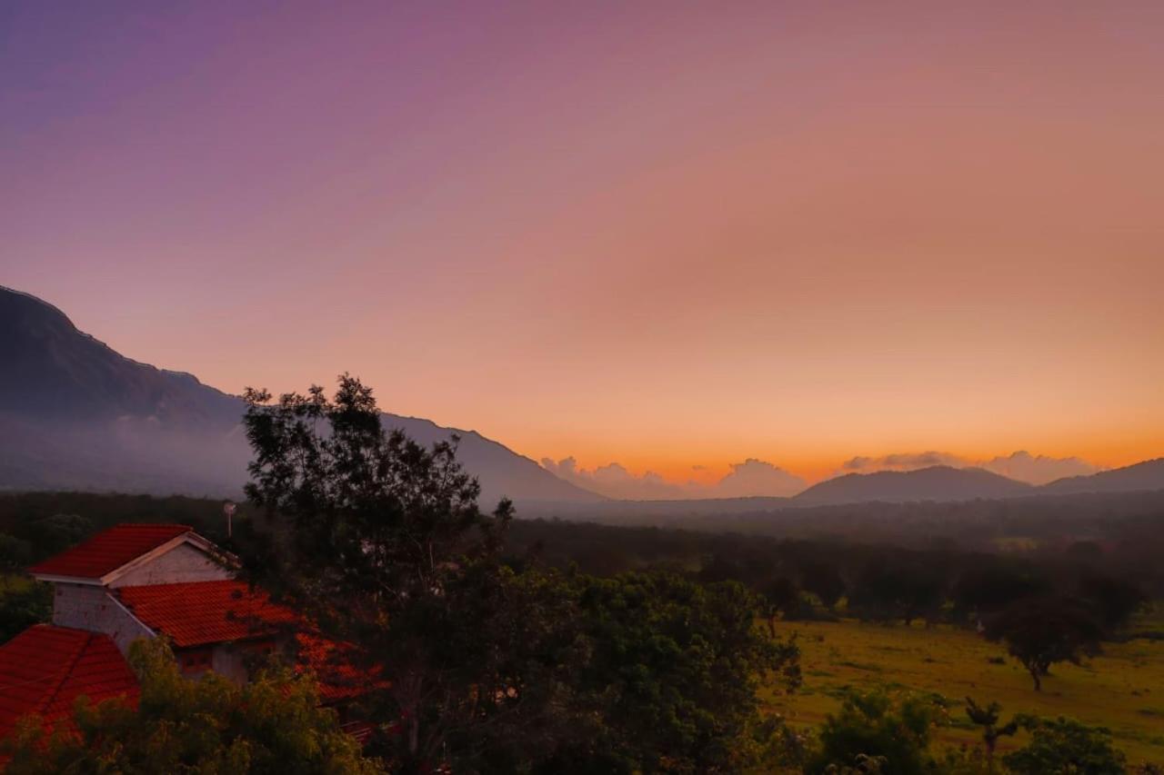 Chalets Resort Masinagudi Ooty Esterno foto