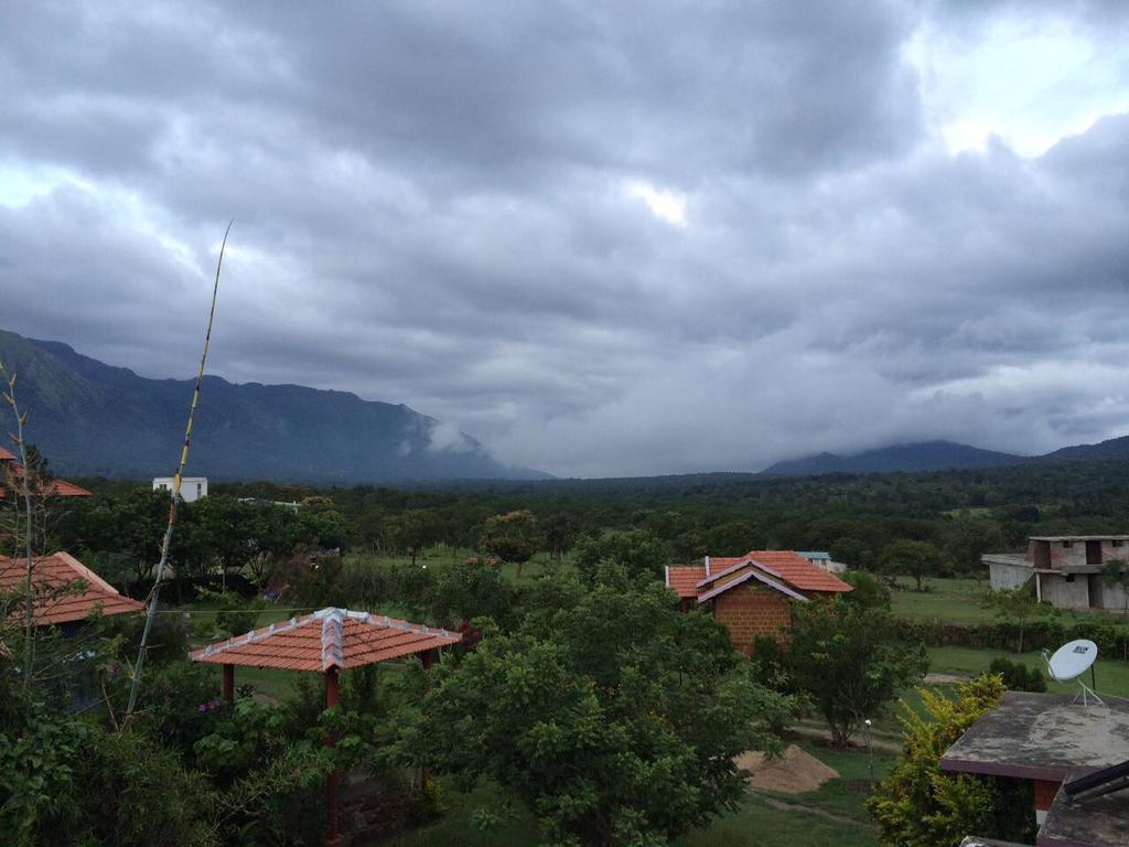 Chalets Resort Masinagudi Ooty Esterno foto