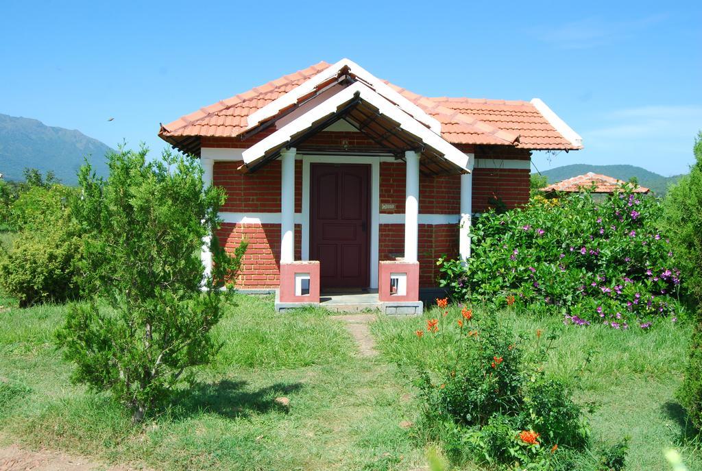 Chalets Resort Masinagudi Ooty Esterno foto