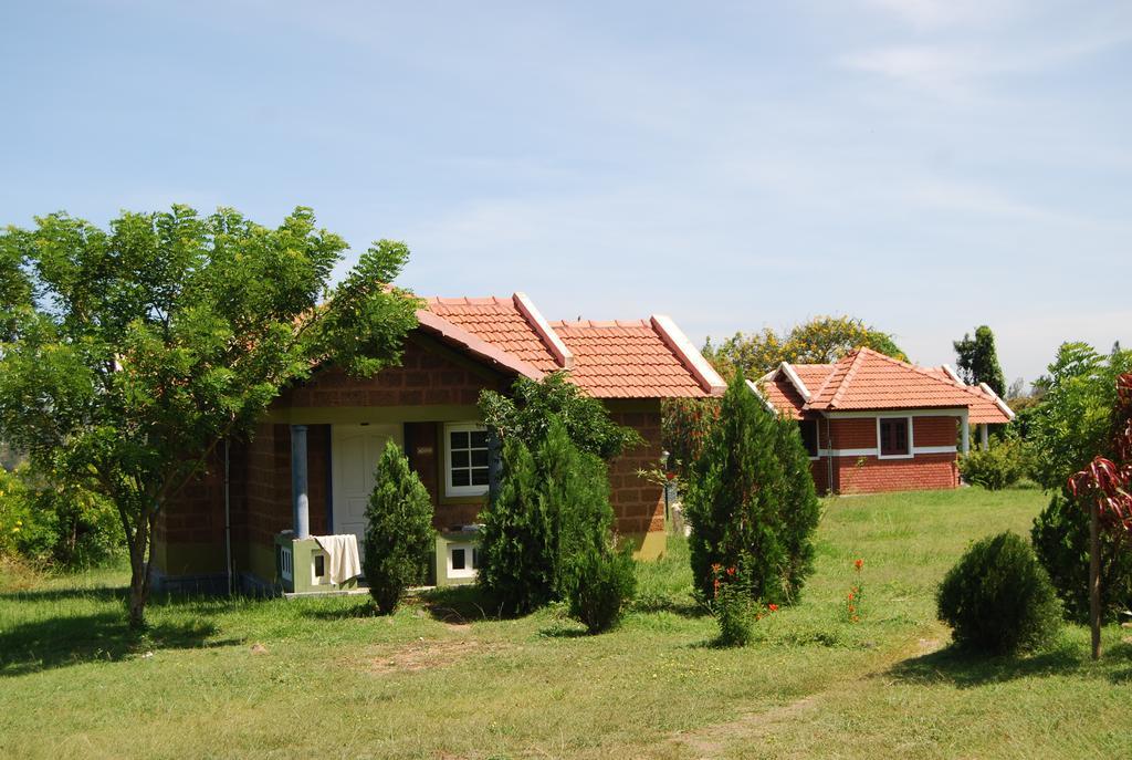 Chalets Resort Masinagudi Ooty Esterno foto