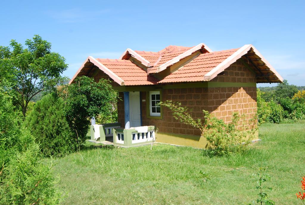 Chalets Resort Masinagudi Ooty Esterno foto
