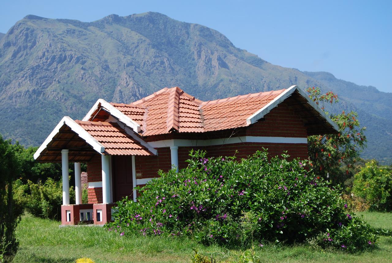 Chalets Resort Masinagudi Ooty Esterno foto